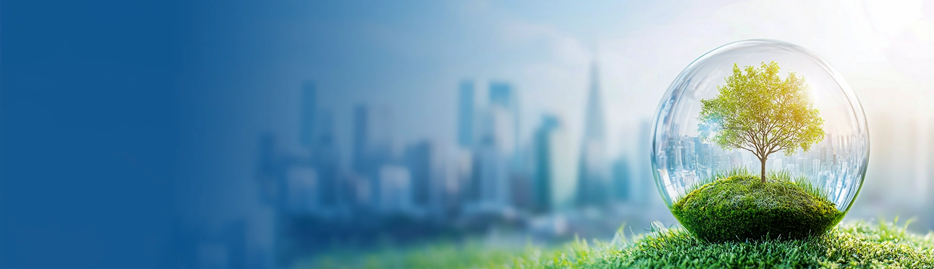 Sustainability--BANNER